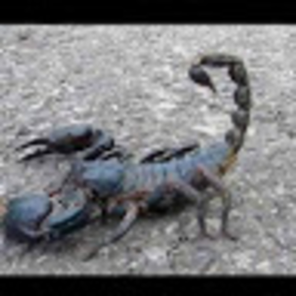 Meet your Posher, Camila